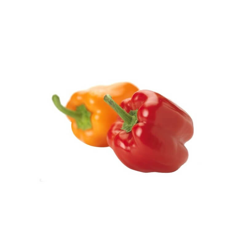 fruit_05